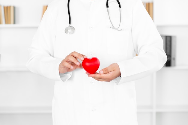 Samiec lekarka wręcza trzymać pluszowego serce