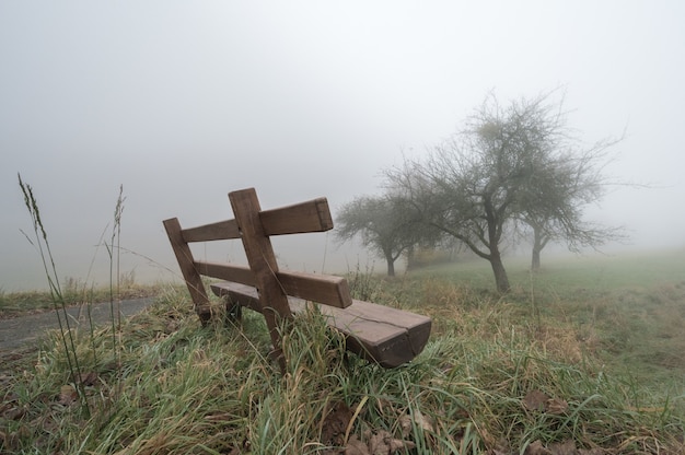 Samotna ławka w mglistej pogodzie