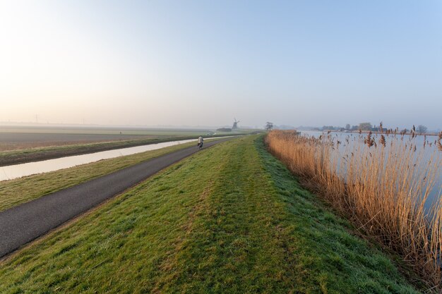 Sceneria holenderskiego krajobrazu polderowego pod bezchmurnym niebem