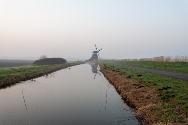 Sceneria jeziora pośrodku pokrytego mgłą pola w Holandii