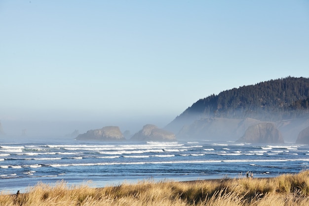 Sceneria trawy na plaży rano w Cannon Beach w stanie Oregon