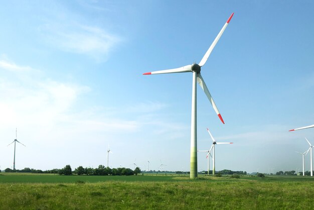 Sceneria turbin wiatrowych na środku pola pod bezchmurnym niebem