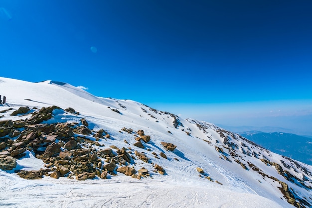 Sceneria urlop śniegu las mróz