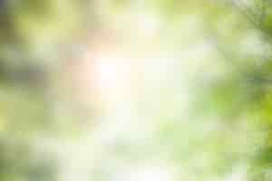 Bezpłatne zdjęcie sceniczna flara przeciwsłoneczna świecąca przez drzewa fotografia przyrodnicza