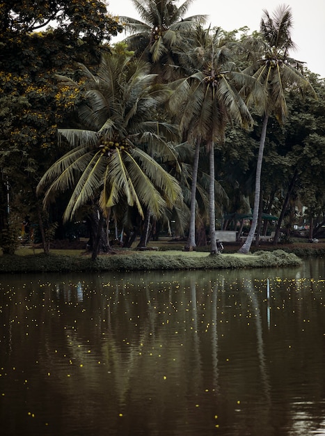 Bezpłatne zdjęcie sceniczny park miejski