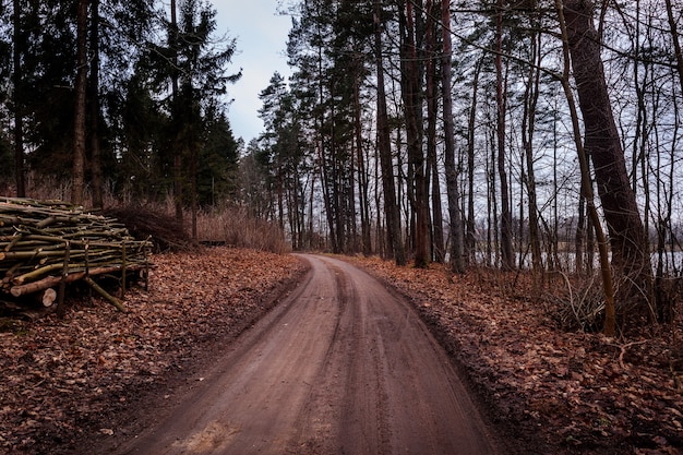 Ścieżka Nad Jeziorem W środku Jesiennego Lasu