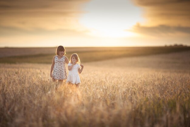 Siostry dziewczęta spacerują po polu z żyta zachodem słońca