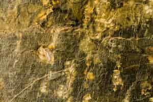 Bezpłatne zdjęcie skały i kamieni tekstury tło