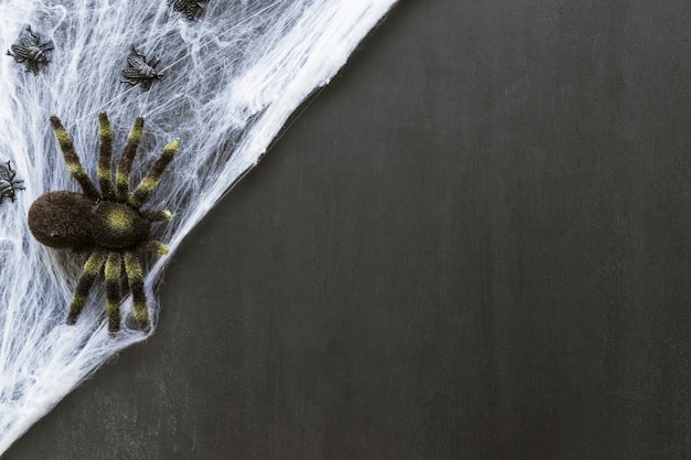 Bezpłatne zdjęcie skład na halloween z pająk na pajęczynie