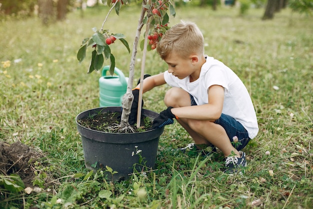 Śliczna chłopiec zasadza drzewa na parku