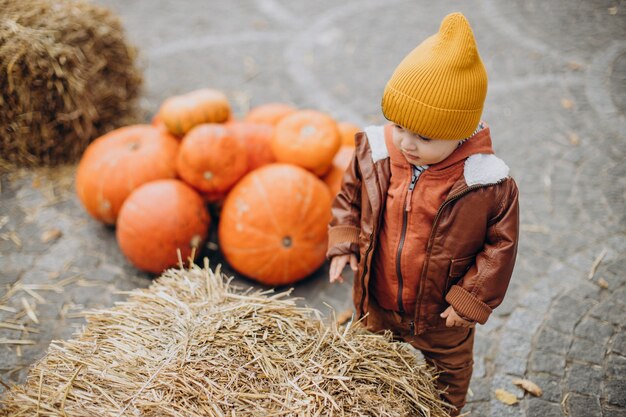 Śliczny mały chłopiec z halloweenowymi dyniami na ranczu