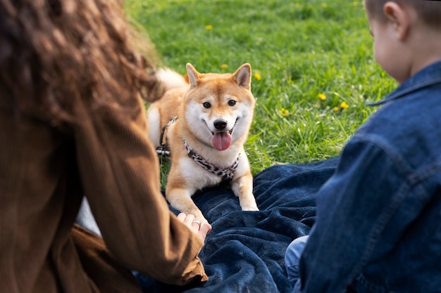 Śliczny zwierzak shiba inu z rodziną