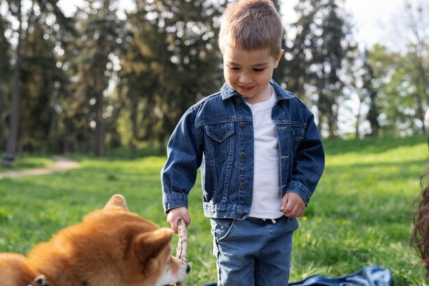 Bezpłatne zdjęcie Śliczny zwierzak shiba inu z rodziną