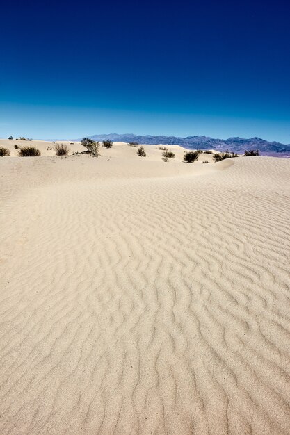 Słoneczna sceneria Mesquite Flat Sand Dunes w Death Valley National Park, Kalifornia - USA