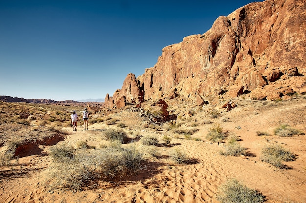 Słoneczna sceneria Parku Stanowego Valley of Fire w Nevadzie, USA