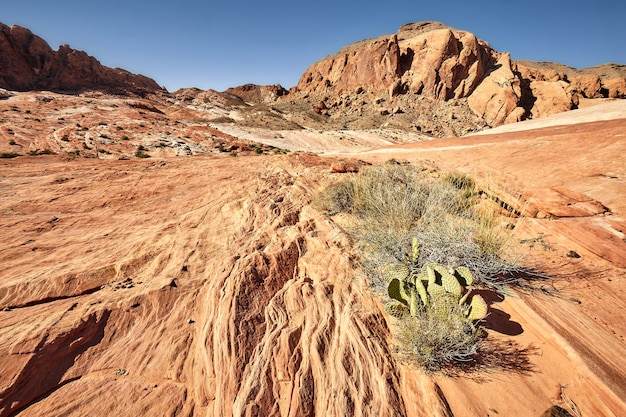 Słoneczna sceneria Parku Stanowego Valley of Fire w stanie Nevada, USA