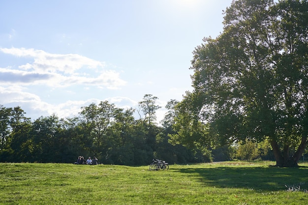 Słoneczny dzień w krajobrazie parku z zieloną trawą i dwoma rowerami stojącymi w pobliżu drzewnych promieni słonecznych