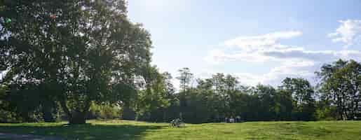 Bezpłatne zdjęcie słoneczny dzień w parku krajobraz zielonej trawy i dwa rowery stojące w pobliżu drzewa promienie słońca oświetlają się