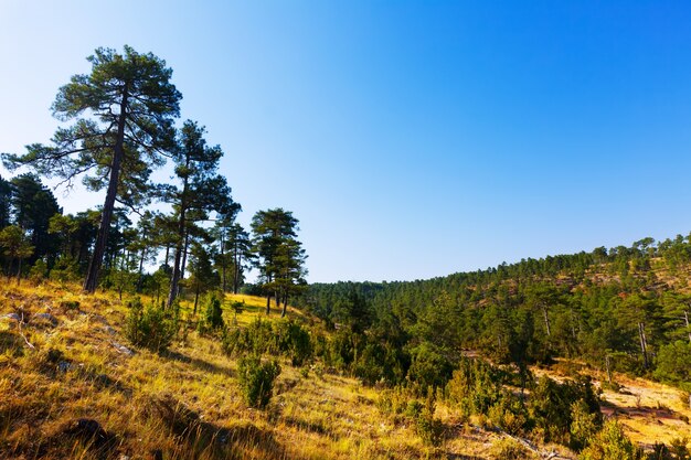 Słoneczny widok na Serrania de Cuenca