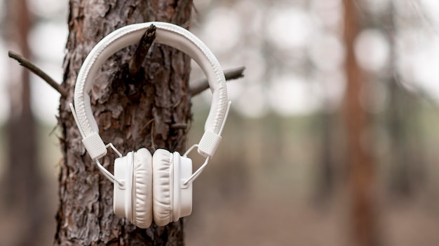 Słuchawki powieszone na drzewie