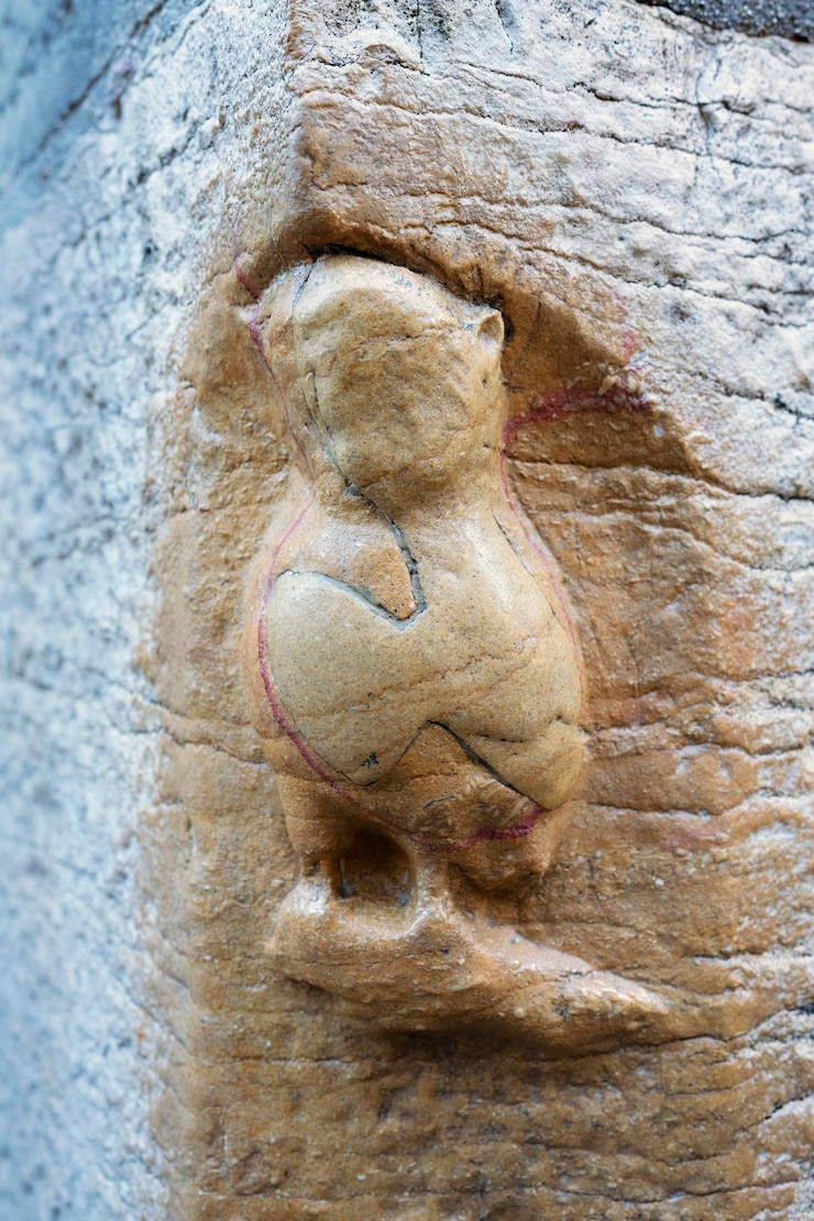 Bezpłatny plik Zdjęcie słynna rzeźba sowy na notredamededijon