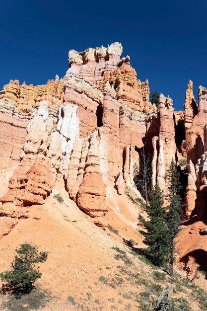 Słynny widok szlaku Navajo w Bryce Canyon w stanie Utah