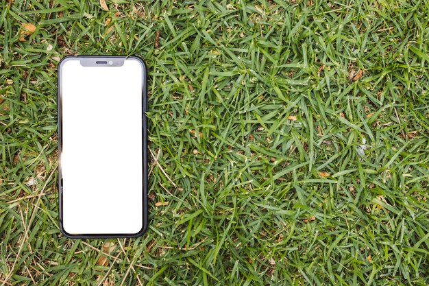 Smartphone z pustym ekranem na trawie