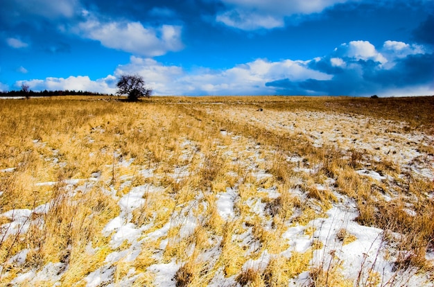 Bezpłatne zdjęcie Śnieg i pola