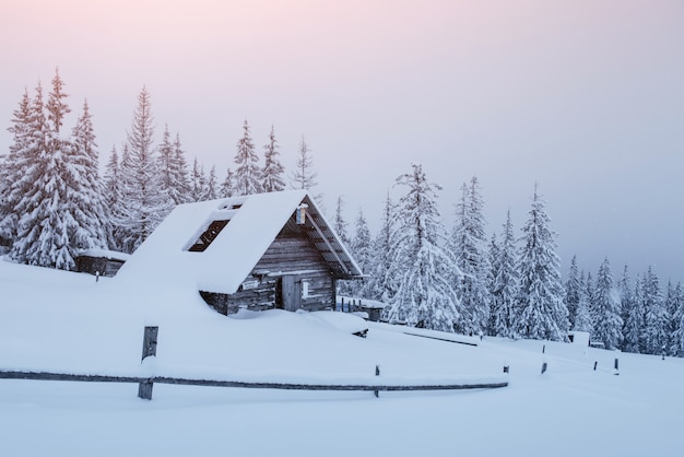 Śnieżny las w Karpatach. Mały przytulny drewniany dom pokryty śniegiem. Pojęcie spokoju i zimowej rekreacji w górach. Szczęśliwego Nowego Roku