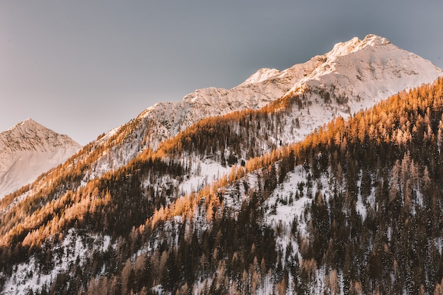 Bezpłatne zdjęcie snowy mountain