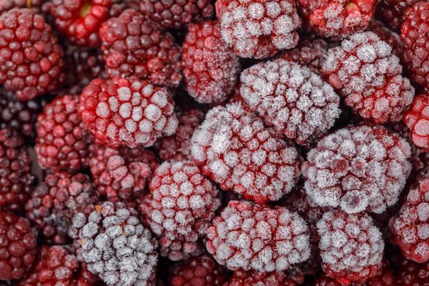 Bezpłatne zdjęcie snowy świeże jeżyny. zbliżenie. poziomy.