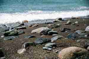 Bezpłatne zdjęcie spienione morskie fale myjące piaszczysty brzeg