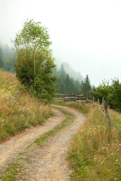 Spokojna wiejska okolica w świetle dziennym