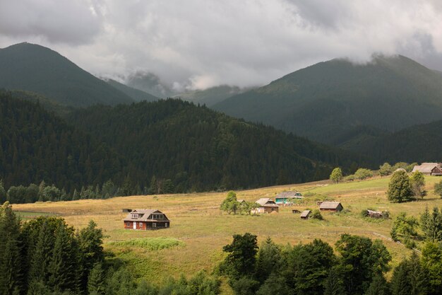 Spokojna wiejska okolica w świetle dziennym