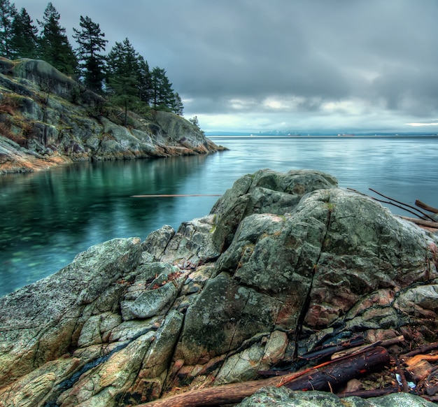 Bezpłatne zdjęcie spokojne morze obok formacji skalnej z drzewami przyrody