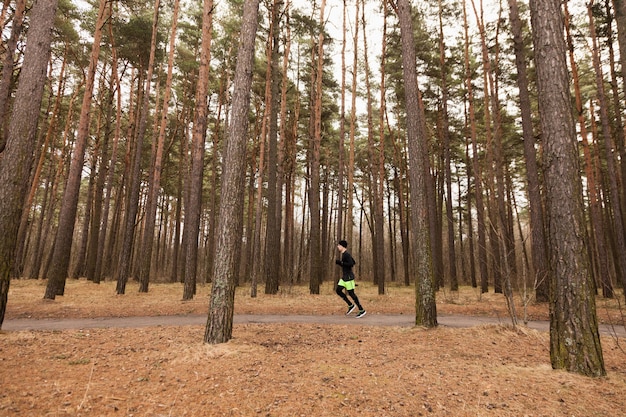 Sportowiec jogging w lesie