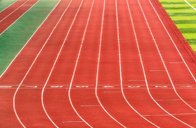 stadion lekkoatletyczny