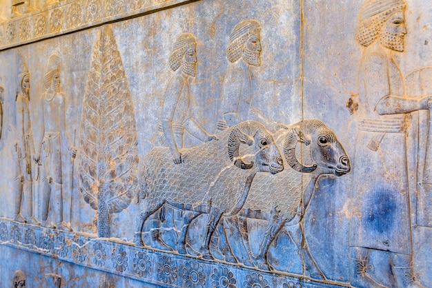 Starożytna perska rzeźba w persepolis - iran