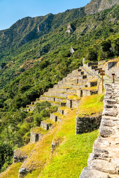 Starożytne Tarasy Inków Machu Picchu W Peru Premium Zdjęcia