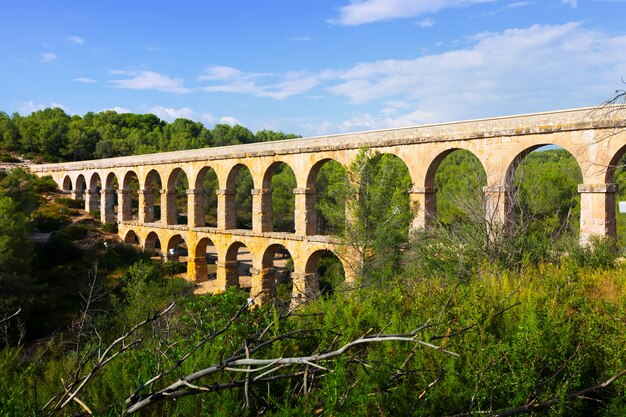 starożytny rzymski akwedukt w lesie latem. Tarragona,