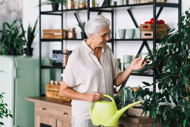 Starsza kobieta bierze opiekę świeża roślina