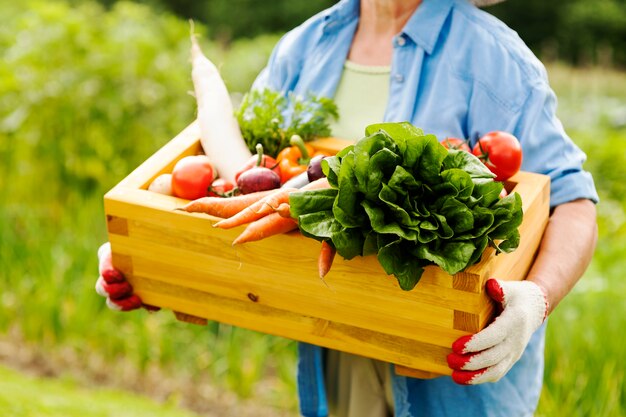 Starszy kobieta trzyma pudełko z warzywami
