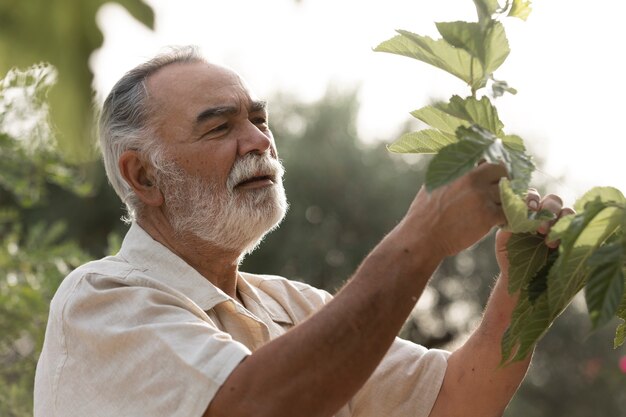 Starszy mężczyzna sprawdzający plony w swoim wiejskim ogrodzie przydomowym