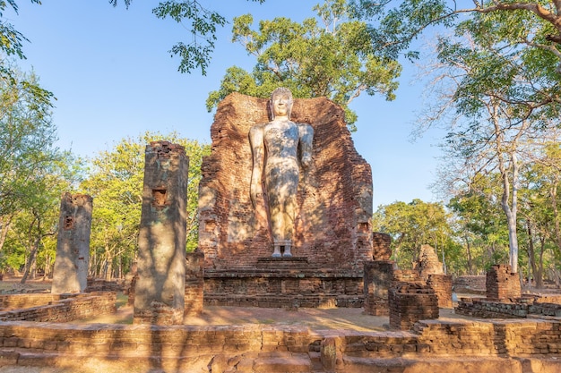 Bezpłatne zdjęcie stojący posąg buddy w świątyni wat phra si ariyabot w historycznym parku kamphaeng phet wpisany na listę światowego dziedzictwa unesco