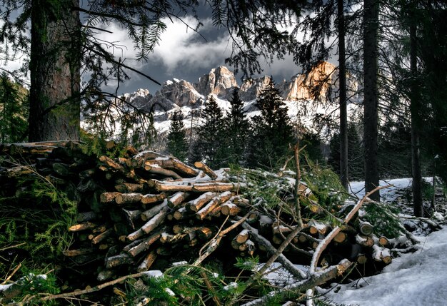 Stos drewna w lesie pokrytym śniegiem otoczonym klifami w Dolomitach