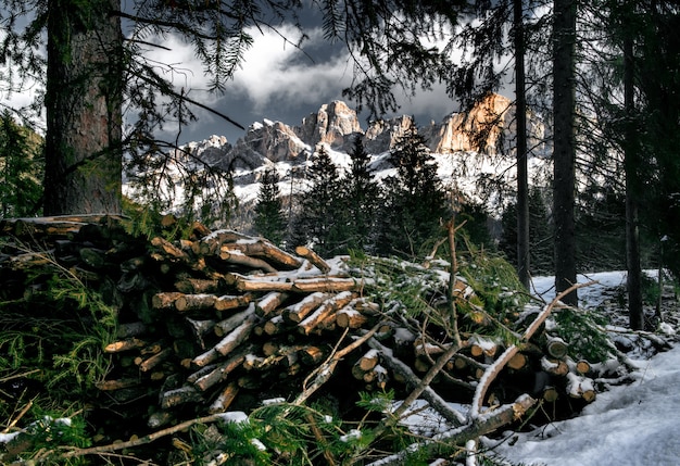 Stos drewna w lesie pokrytym śniegiem otoczonym klifami w Dolomitach