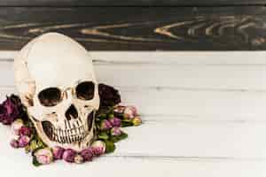 Bezpłatne zdjęcie straszne czaszki i kwiaty bzu