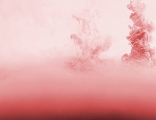 Streszczenie gęsta chmura róż w mgiełce różu