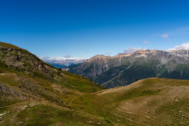 Strzał zbliżenie parku przyrody Grand Del Bosco Di Salbertrand Montagne Włochy
