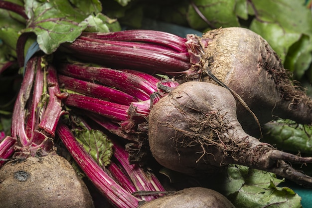 Bezpłatne zdjęcie strzał zbliżenie świeżych buraków organicznych